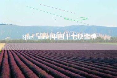 高安中国十七块金牌
