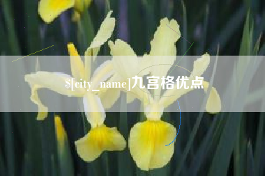 高安九宫格优点