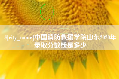 高安中国消防救援学院山东2020年录取分数线是多少