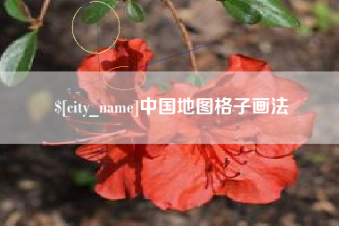 高安中国地图格子画法