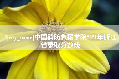 高安中国消防救援学院2021年浙江省录取分数线