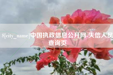 高安中国执政信息公开网-失信人员查询页
