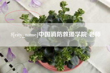 高安中国消防救援学院 老师