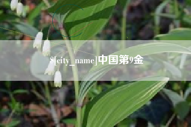 高安中国第9金