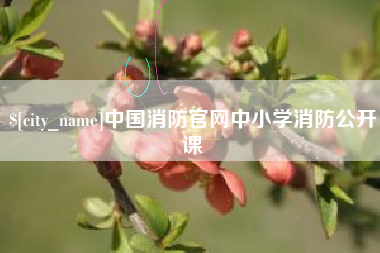 高安中国消防官网中小学消防公开课