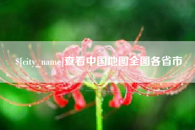 高安查看中国地图全图各省市