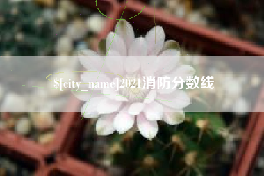 高安2021消防分数线