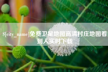 高安免费卫星地图高清村庄地图看到人实时下载