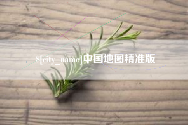 高安中国地图精准版