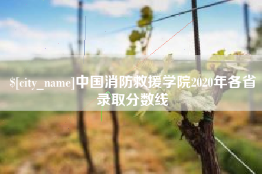 高安中国消防救援学院2020年各省录取分数线