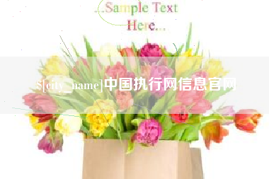 高安中国执行网信息官网