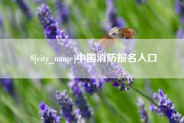 高安中国消防报名入口