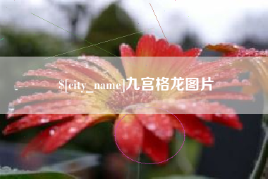 高安九宫格龙图片