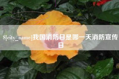 高安我国消防日是哪一天消防宣传日