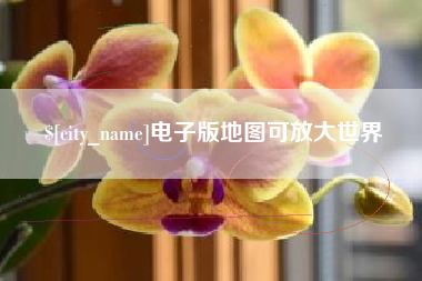 高安电子版地图可放大世界