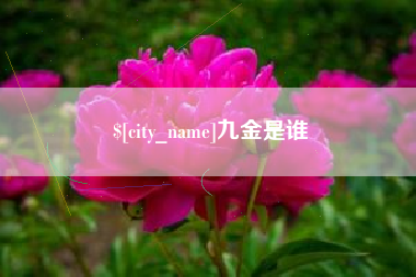 高安九金是谁