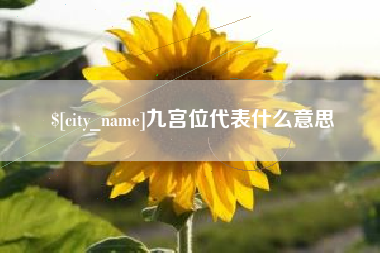 高安九宫位代表什么意思