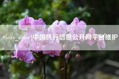 高安中国执行信息公开网平台维护