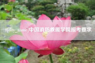 高安中国消防救援学院报考要求