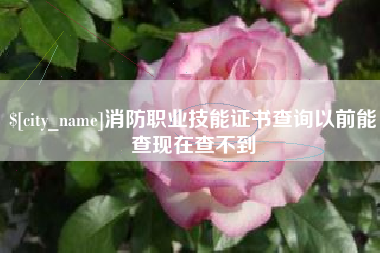 高安消防职业技能证书查询以前能查现在查不到
