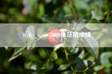 高安5000米及格成绩