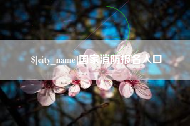 高安国家消防报名入口