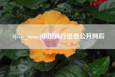 高安中国执行信息公开网后