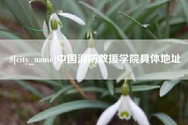 高安中国消防救援学院具体地址