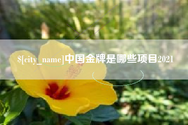 高安中国金牌是哪些项目2021