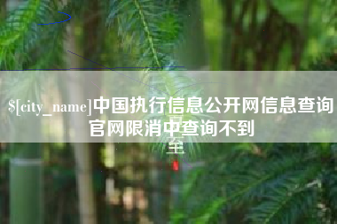 高安中国执行信息公开网信息查询官网限消中查询不到