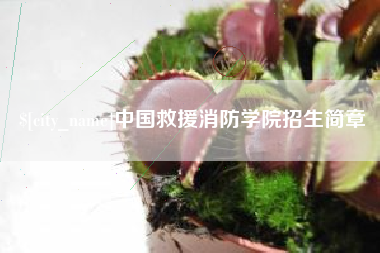 高安中国救援消防学院招生简章