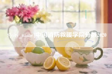 高安中国消防救援学院分数2020
