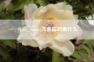 高安九金指的是什么