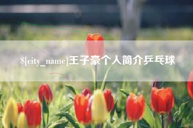 高安王子豪个人简介乒乓球