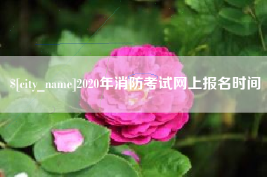 高安2020年消防考试网上报名时间
