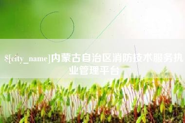 高安内蒙古自治区消防技术服务执业管理平台