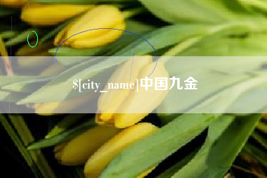 高安中国九金