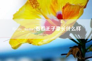 高安看看王子豪长什么样