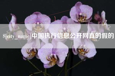 高安中国执行信息公开网真的假的