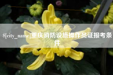 高安重庆消防设施操作员证报考条件