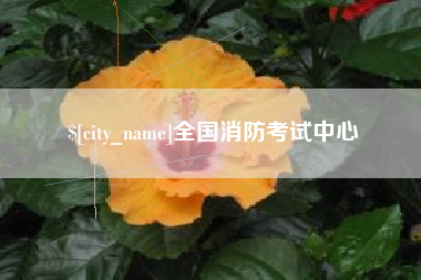 高安全国消防考试中心