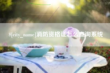 高安消防资格证怎么查询系统