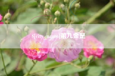 高安第九金是