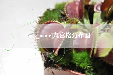 高安九宫格分布图