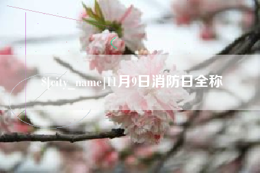 高安11月9日消防日全称