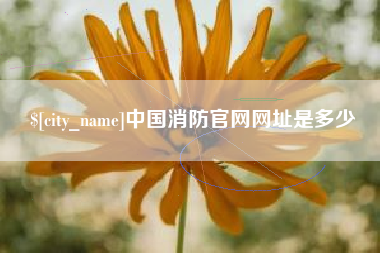 高安中国消防官网网址是多少