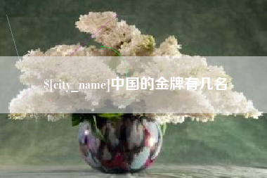 高安中国的金牌有几名