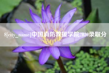 高安中国消防救援学院2020录取分