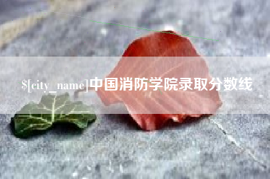 高安中国消防学院录取分数线
