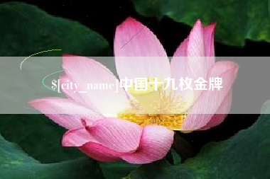 高安中国十九枚金牌